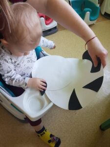 Dzień Kota - grupa I