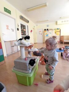 Dzień Kotka – grupa I