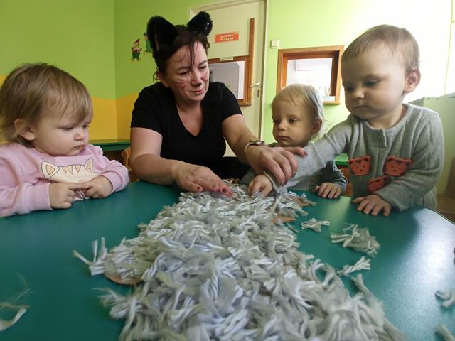 Dzień Kotka – grupa I