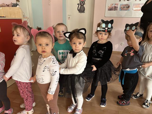 Dzień Kotka – grupa III