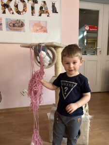 Dzień Kotka – grupa III