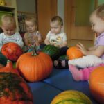 Maluszki poznają warzywa - dynia Grupa I