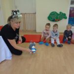 Dzień Kotka – grupa II