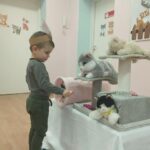 Dzień Kotka – grupa III